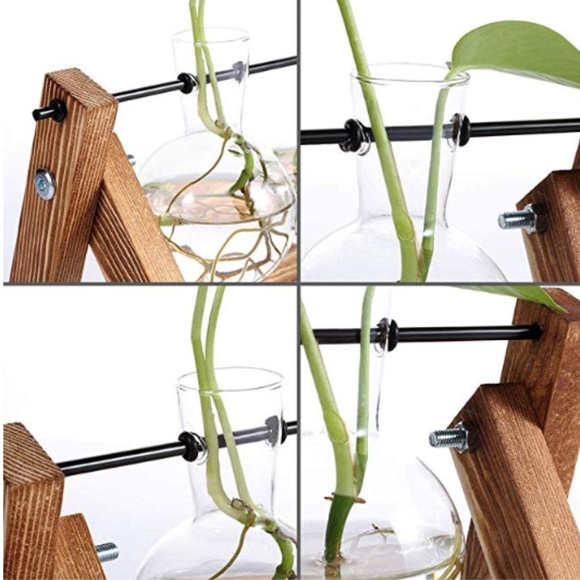 Desktop Glass Planter 3 Bulb Vase - Picture 5 of 9